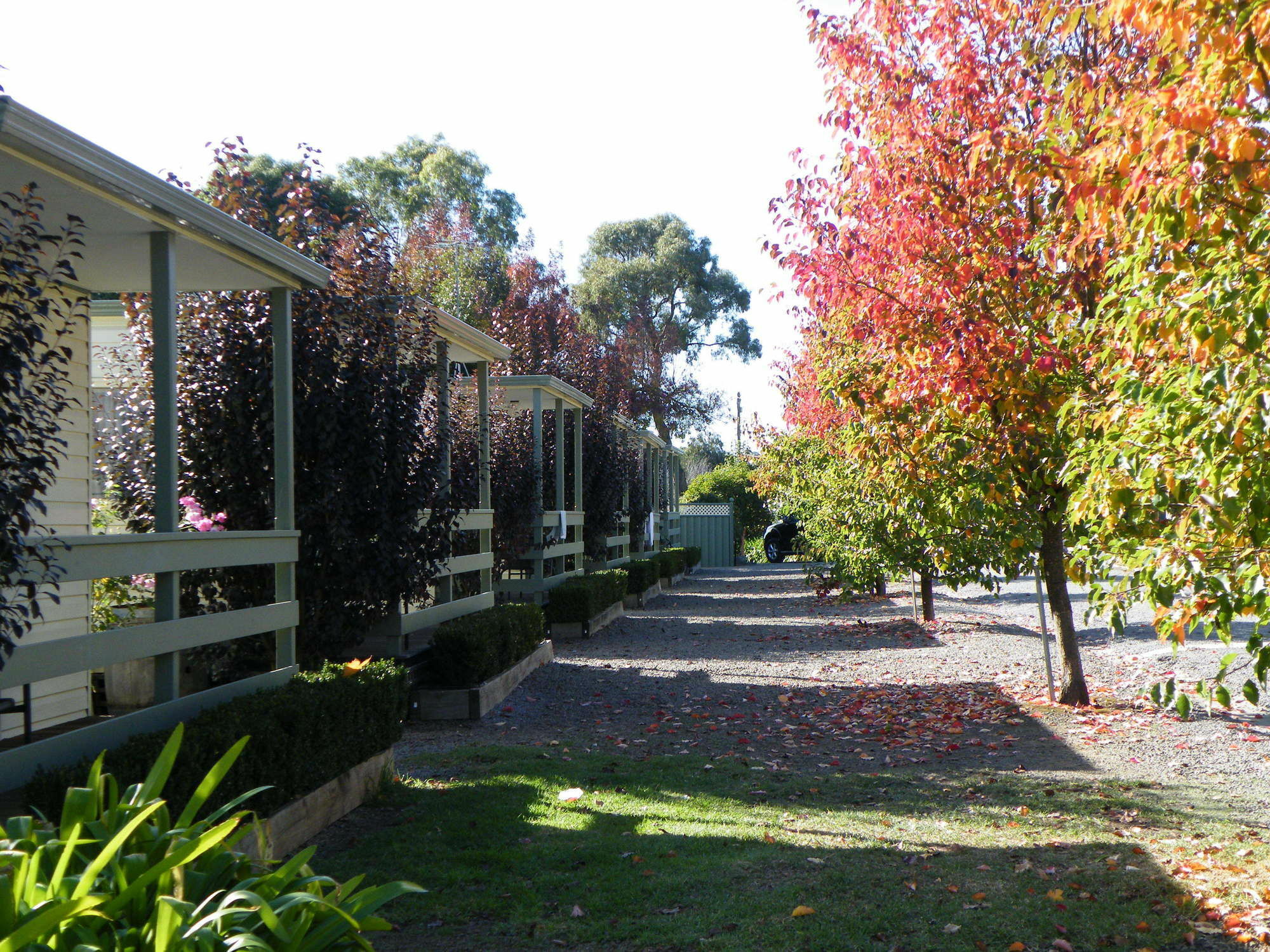 Lake Hamilton Motor Village And Caravan Park Kültér fotó